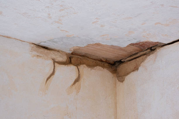 Best Water damage restoration near me  in Hamilton, AL