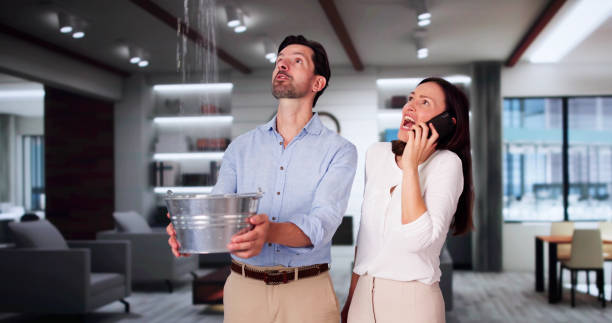 Best Commercial water damage restoration  in Hamilton, AL